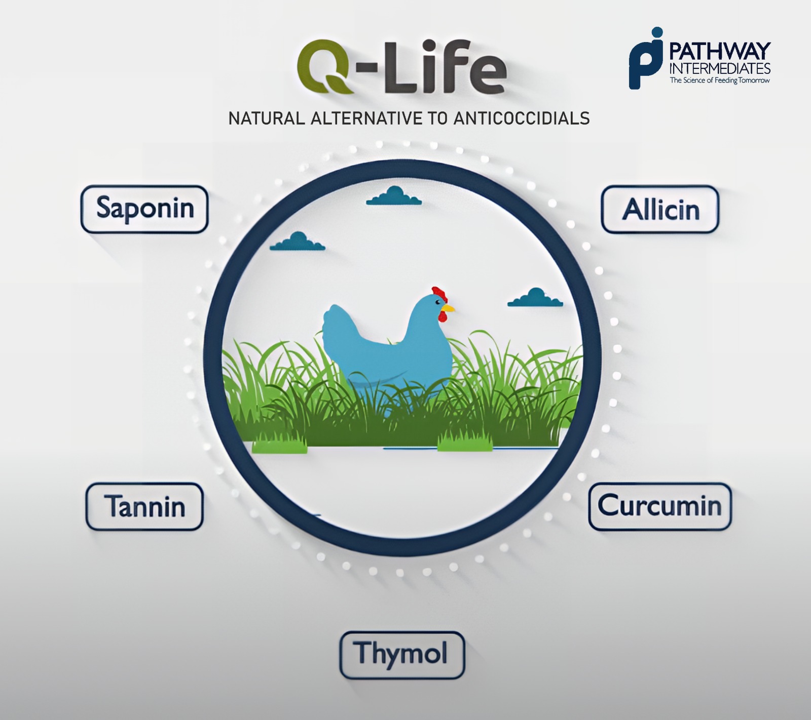 Pathway Intermediate