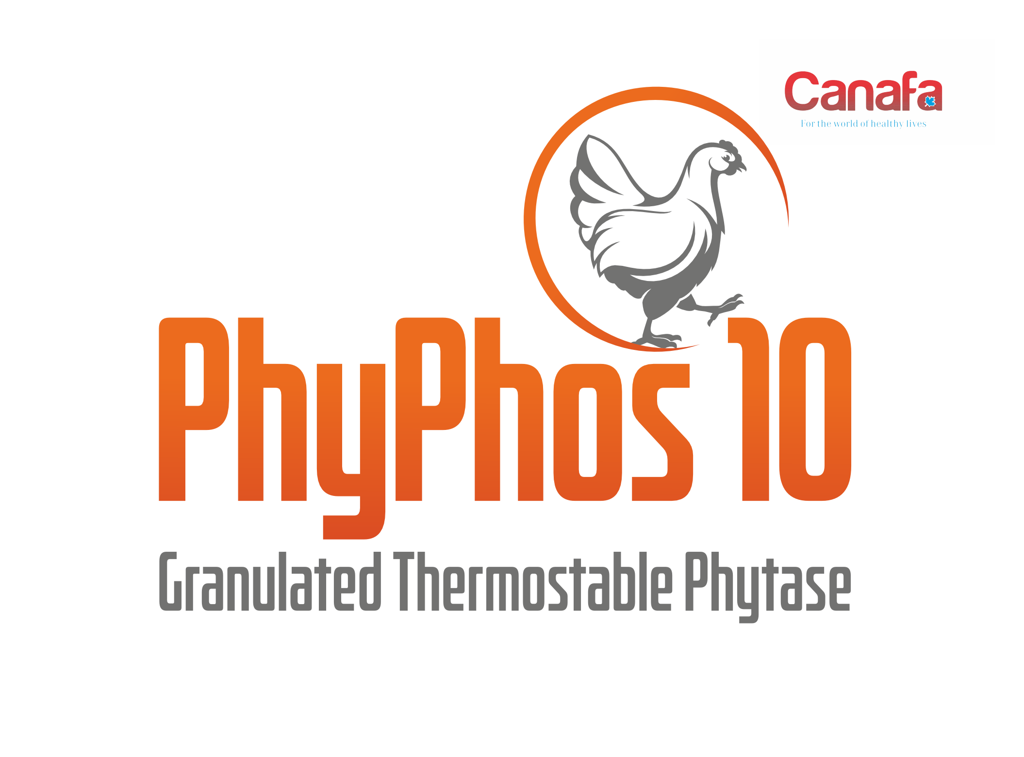 PhyPhos 10