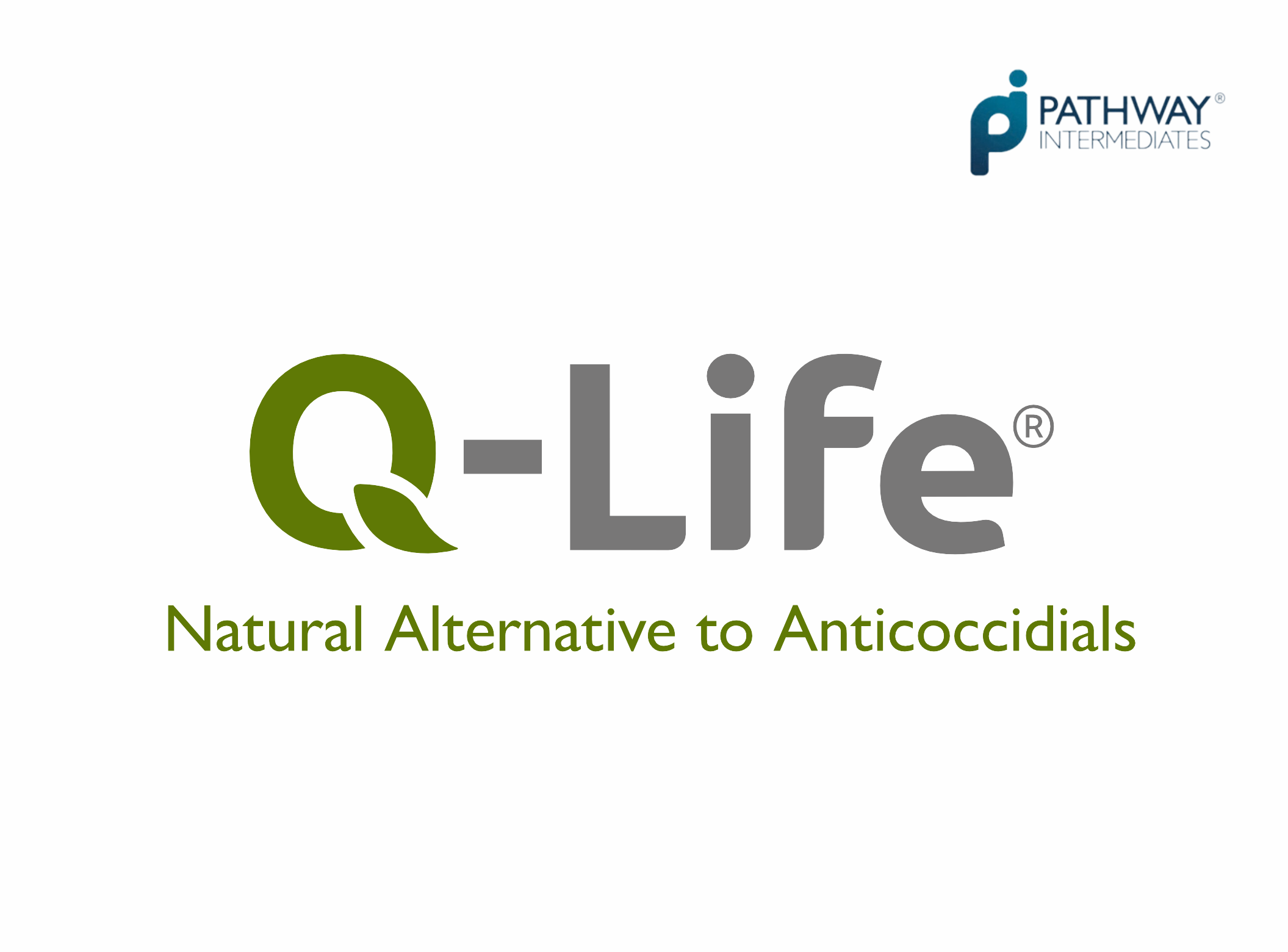Q-Life.png